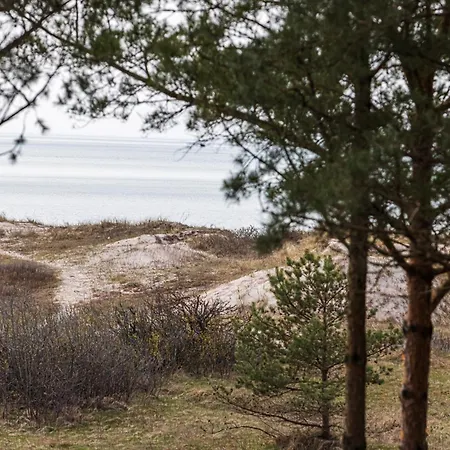 Holidayplus Multiple Apartments, By Cohost 公寓