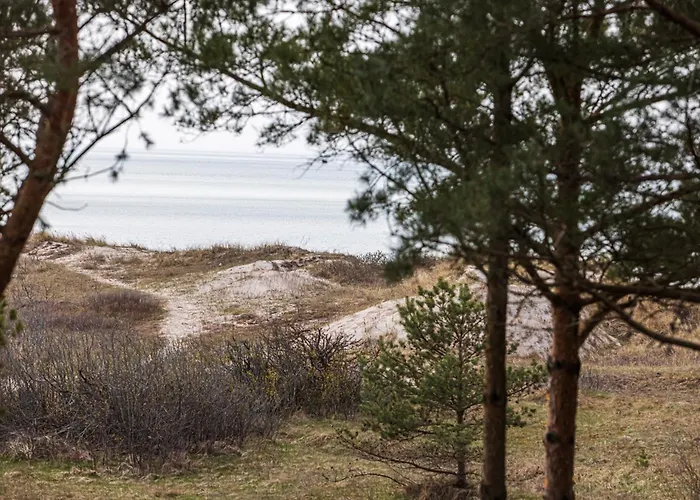 Holidayplus Multiple Apartments, By Cohost Апартаменти